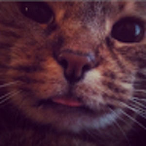 Meet your Posher, Ash